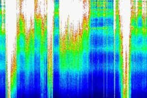 schumann510