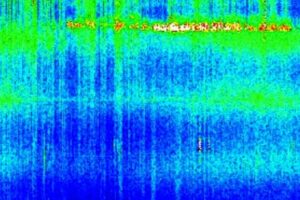 schumann525