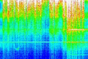 schumann5626