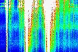 schumann59
