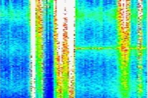 schumann612