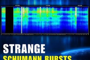 schumann-bursts918